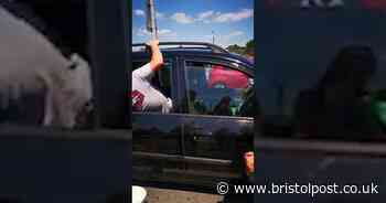 Man smashes car window to rescue dog inside on hot day