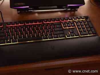 Razer Ornata v2 keyboard remains a mechanical-membrane-mashup fave     - CNET