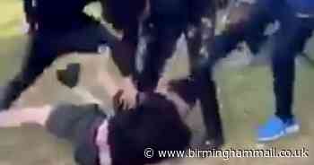 Cannon Hill Park brawl erupts as knife thugs fight in front of families