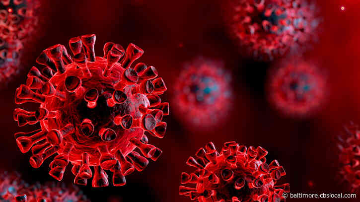 Coronavirus In Maryland: Hospitalizations Continue Declining As Total Cases Near 55K