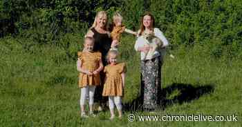 Teachers create Quarantine Quads book to help youngsters deal with Covd-19