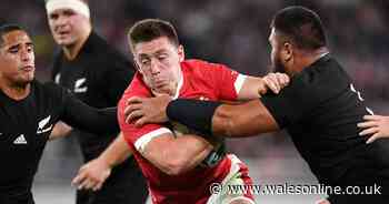 Wales could now play the All Blacks in front of fans this autumn