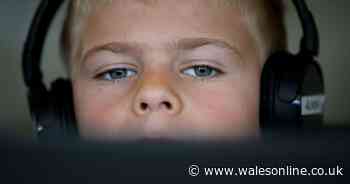 We asked Wales' education minister if schools would provide live online classes