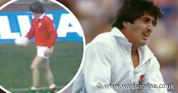 The story of how Stuart Barnes was supposed to be Welsh rugby's new hero