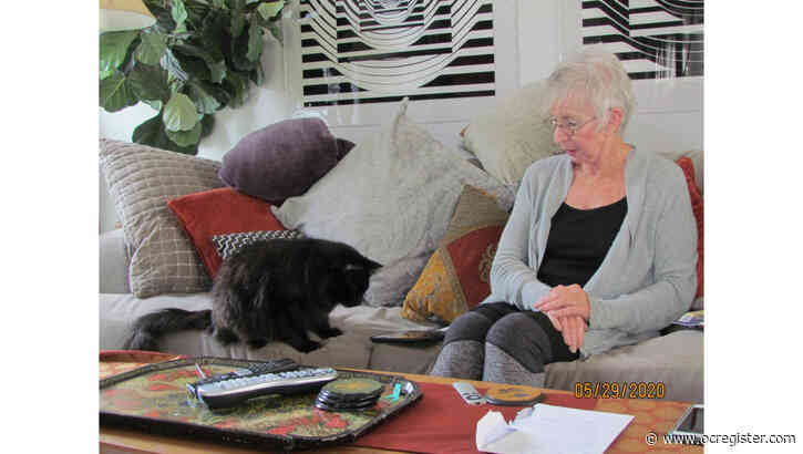 Seniors find adopting or fostering a pet can ease loneliness during stay-at-home order