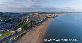 Boy, 13, forced his way into woman's home and hit her with metal bar