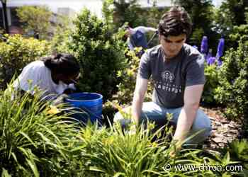 Keep America Beautiful relaunches 2020 'Great American Cleanup'