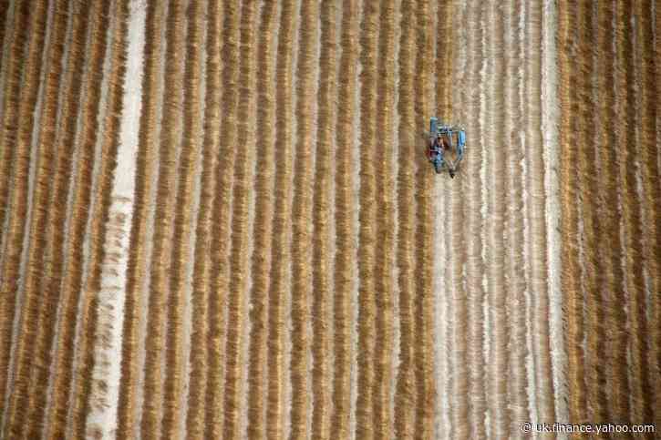 French farmers may halve flax fibre area as demand for linen shrinks