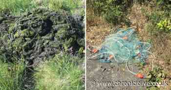 Illegal fishing nets seized by Environment Agency in Northumberland