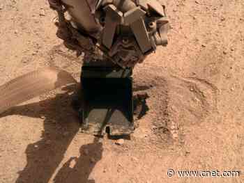 NASA InSight lander finally pushes its burrowing 'mole' into Mars     - CNET