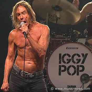 Iggy Pop calls on Florida senators to pass bill protecting big cats