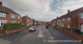 Investigation launched after man's body is found in Sunderland home