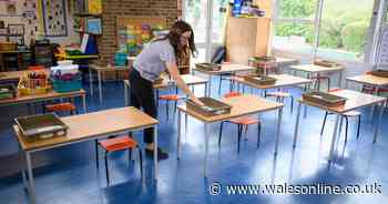 What parents said about Wales' plans to reopen schools