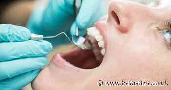 Northern Ireland Dentists to return to work in 3-phase plan - Belfast Live