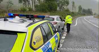 Doctor stopped by police driving from London to Brecon to buy lamb