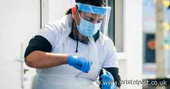 The latest number of coronavirus care home deaths in Bristol
