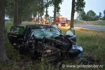 Auto ramt boom langs A15 bij Bemmel, bestuurder gewond