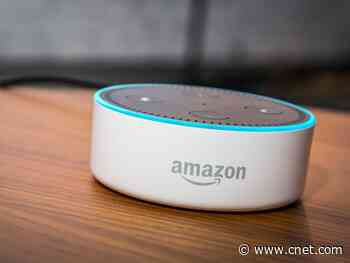 Amazon Echo: One of my favorite hidden tricks and how to use it     - CNET
