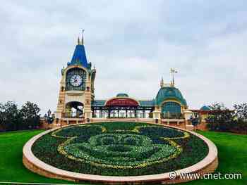 As coronavirus lockdowns lift, what's reopening and restarting: Disney World, NBA, more     - CNET