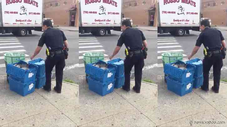 NYPD Says Looters Are Stashing Bricks. Brooklyn Locals Say Otherwise
