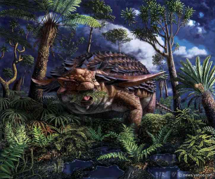 Fossilized stomach contents show armored dinosaur's leafy last meal