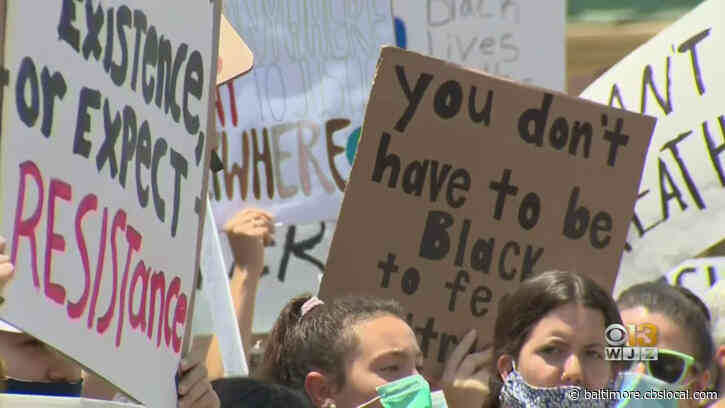 Demonstrators Gather In Bel Air, Reisterstown To Protest Death Of George Floyd