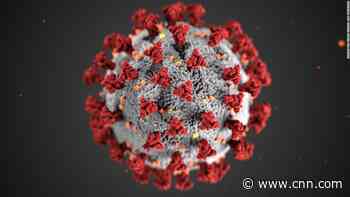WHO says coronavirus is not mutating, but that doesn't mean it is not dangerous - CNN