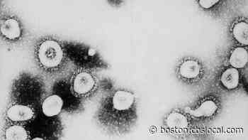 Massachusetts Releases Latest Town-By-Town Coronavirus Numbers - CBS Boston