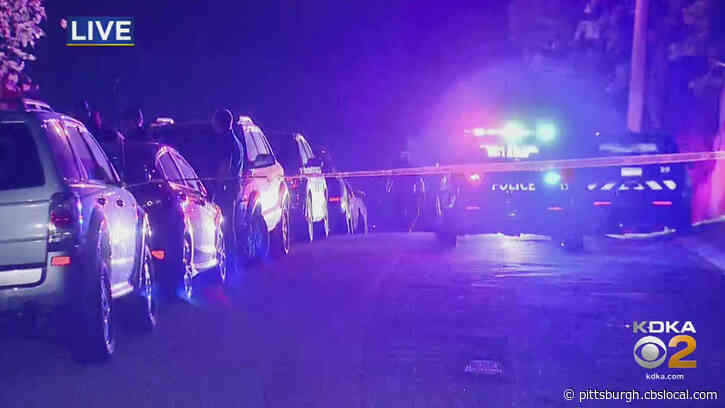 Police: Homeowner Shoots, Kills Intruder In Brentwood