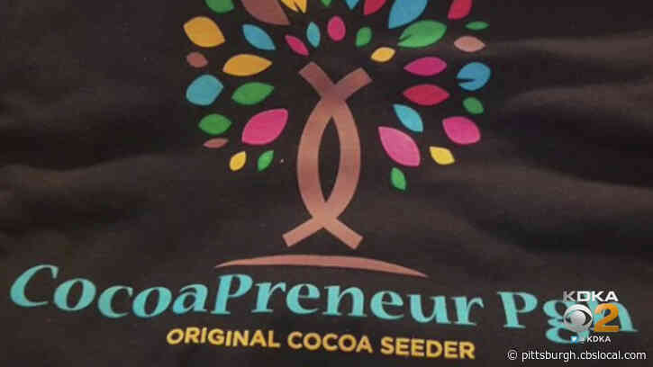 Pitt Grad Starts Cocoapreneur Pgh To Help Black-Owned Businesses In Pittsburgh Area Thrive
