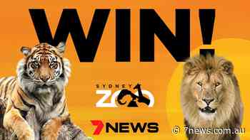 Win 1 of 50 family passes to Sydney Zoo - 7NEWS.com.au