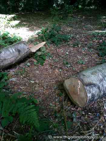 Vandals plague nature reserves during lockdown