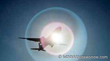 Trump administration moves to block Chinese airlines from US - Lethbridge News Now