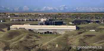 Lethbridge residents encouraged to ‘rediscover’ their own backyard this summer - Globalnews.ca