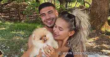 Love Island stars slammed as dog dies after being imported from Russia