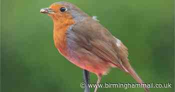 No theme for Lichfield Camera Club this week but still some stunning photos