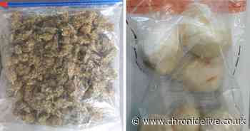 Six arrested and more than £5,000 worth of drugs seized during dawn raids