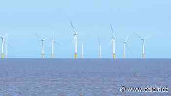 Government blocks Vattenfall's offshore windfarm expansion