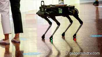 Robot Dog Hounds Thai Shoppers to Keep Hands Coronavirus-Free