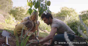 ‘2040’ Review: Tools to Fix the World, Already at Hand