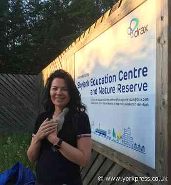 Woman rescues young swan after rejection from parents