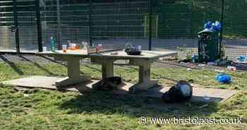 'Horrendous BBQ gatherings of 100 people' in small park