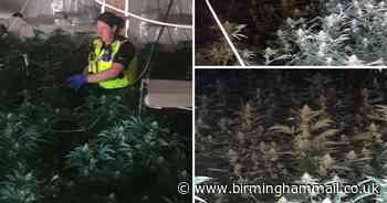 Police bust cannabis factory worth £1m after trouble on  street