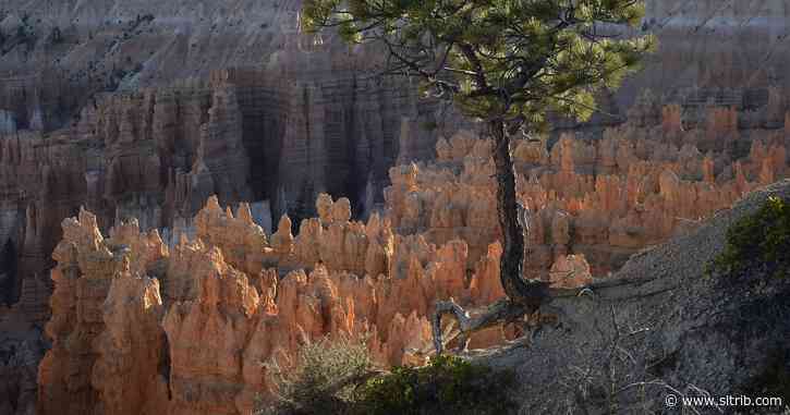 Regulations finally coming for scenic air tours over Utah’s national parks but not all pilots like the idea