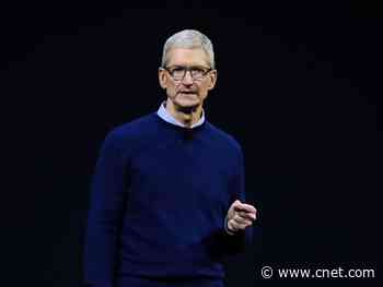 Apple CEO Tim Cook speaks out on George Floyd, racism in open letter     - CNET