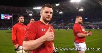 Hibbard right to highlight major flaws in Wales' controversial 60-cap rule