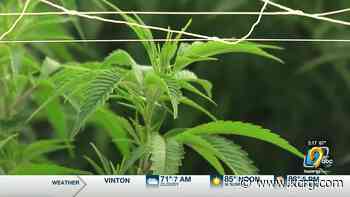 State Senate passes legislation to expand medical marijuana program - KCRG