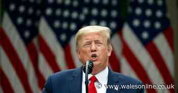 USA protests: Chances of Donald Trump declaring martial law