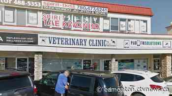 North Edmonton veterinary clinic closes after COVID-19 exposure - CTV News Edmonton