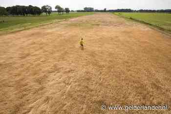 Kabinet steekt extra geld in aanpak droogte